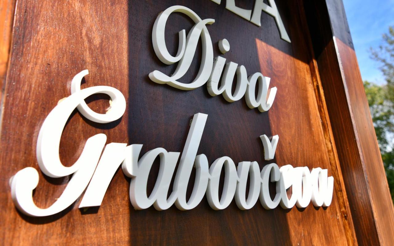 Villa Diva Grabovceva Rakovica Exterior photo